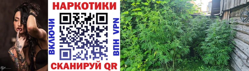 Купить наркоту Рыбинск A PVP гидра зеркало Каннабис Меф