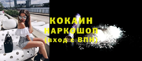 шишки Белоозёрский