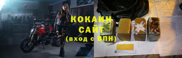 тгк Богданович