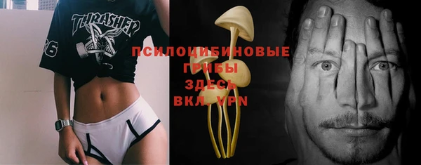 тгк Богданович