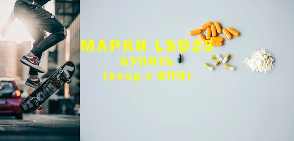 шишки Белоозёрский