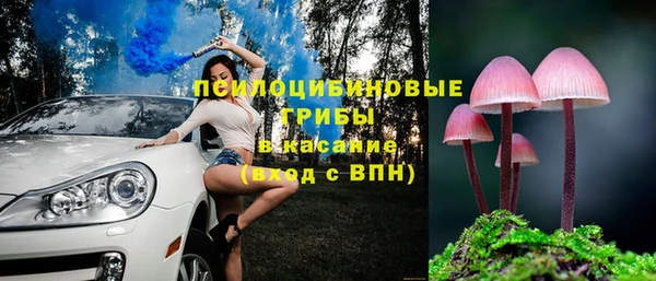 марки nbome Богородицк