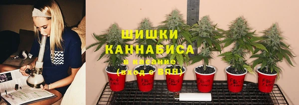 кристаллы Бородино