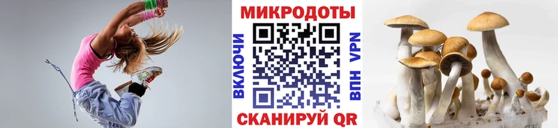 купить наркотики сайты Рыбинск Псилоцибиновые грибы Magic Shrooms