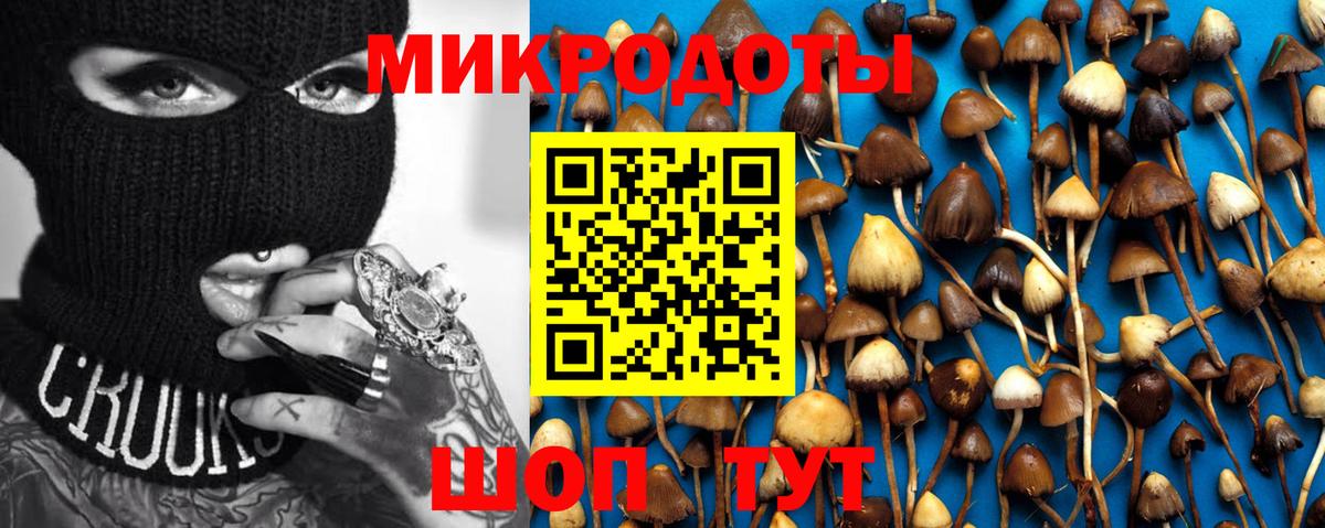 Псилоцибиновые грибы Psilocybe  Вход с VPN  Рыбинск  Псилоцибиновые грибы прущие грибы 