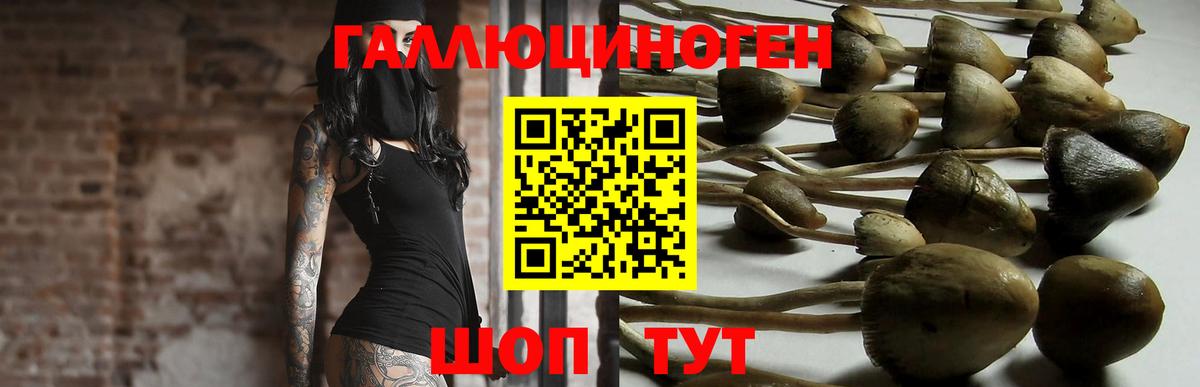 Псилоцибиновые грибы мухоморы Рыбинск
